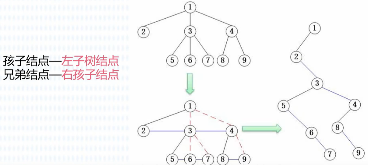 image-20250905195145865